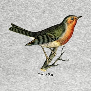 Bird Robin T-Shirt